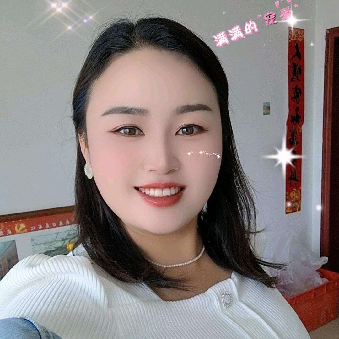 厦龙金旅新能源