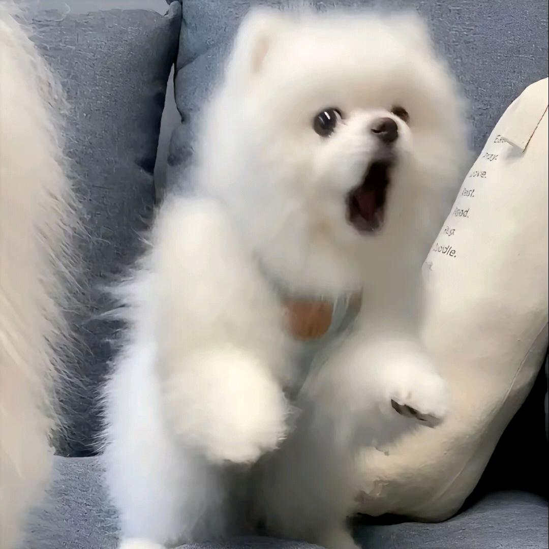 大头美羊羊