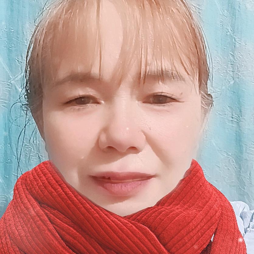 红菊