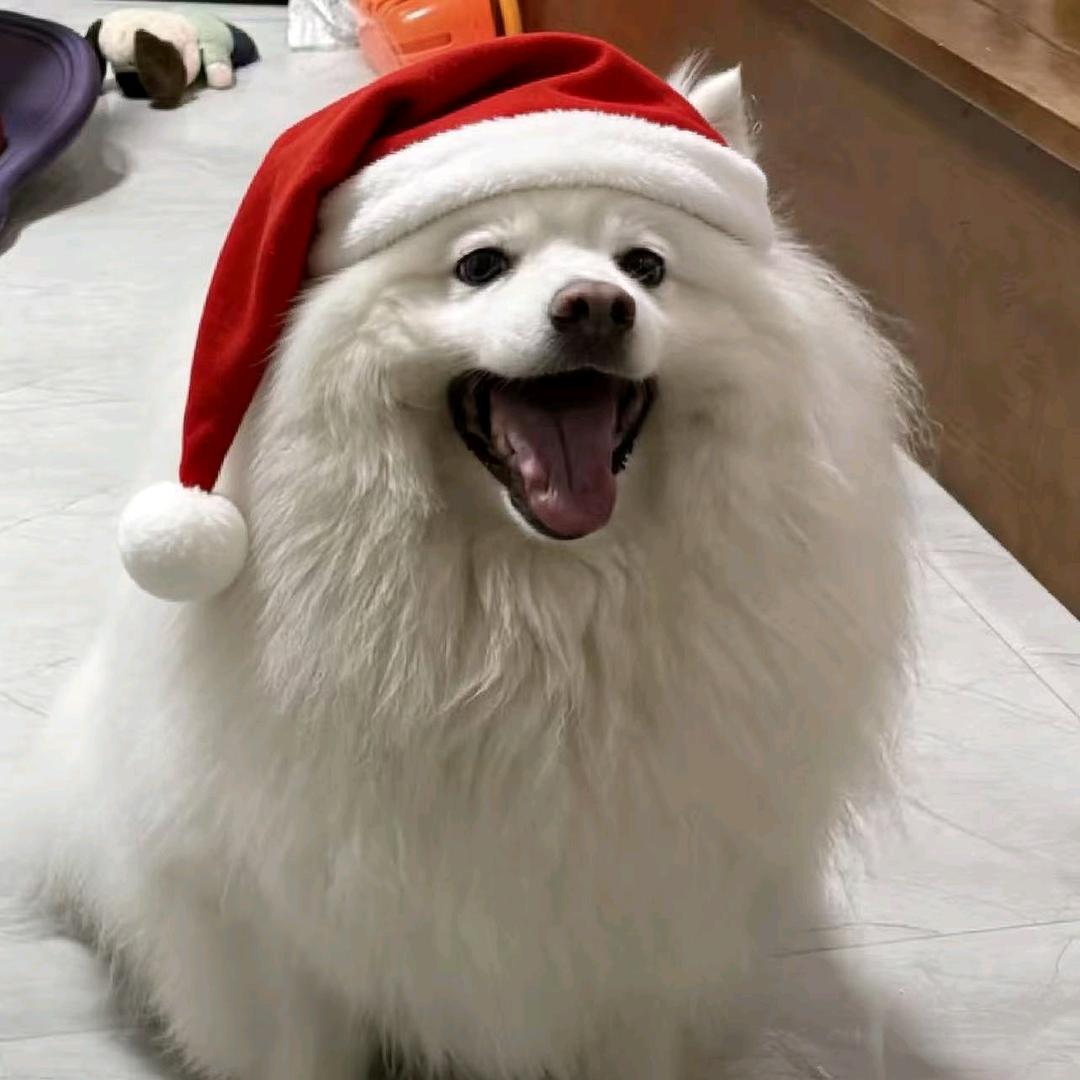 🌈春雨湖的冷老爷