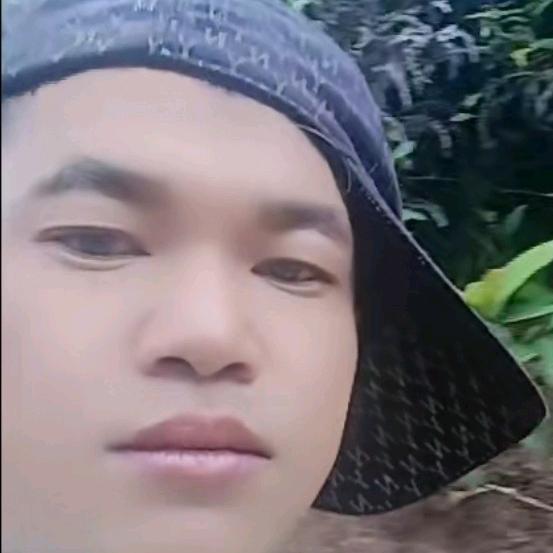 单身男孩