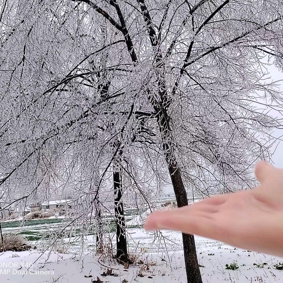 🐇¹².₁₆苗苗℘࿐