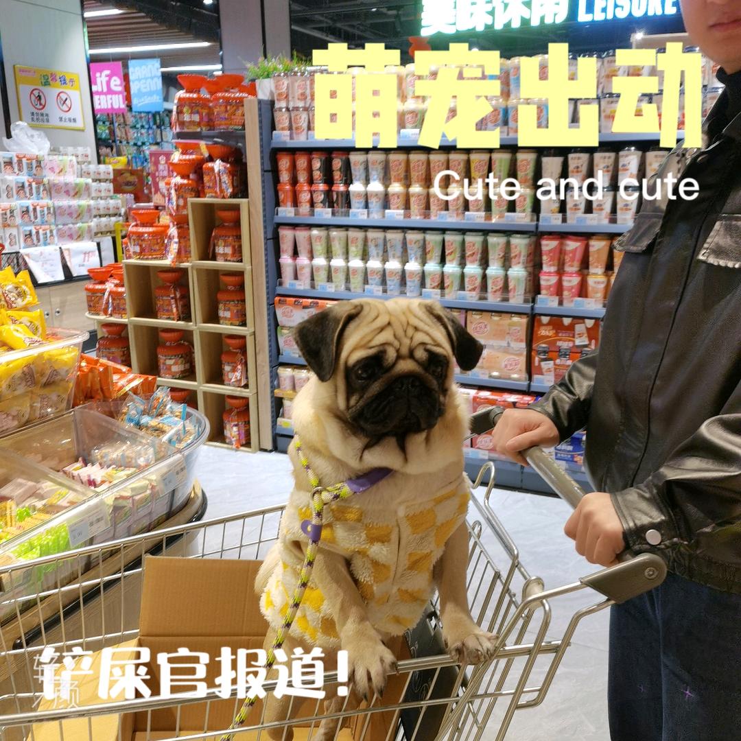 626爱吃肉肉呀