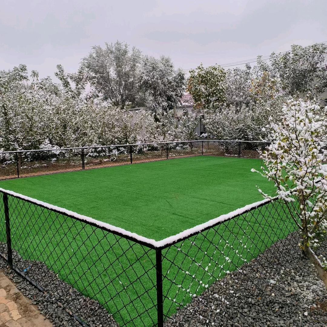 🍍狗大户的快乐小员工