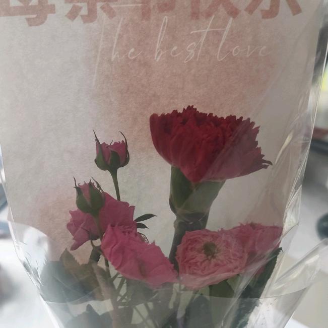 筱沫