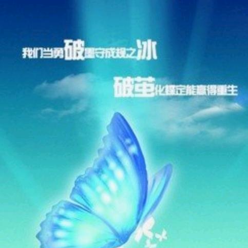 破茧重生