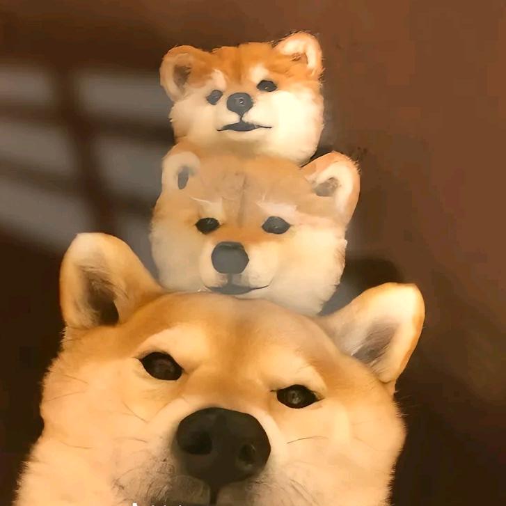 夕.