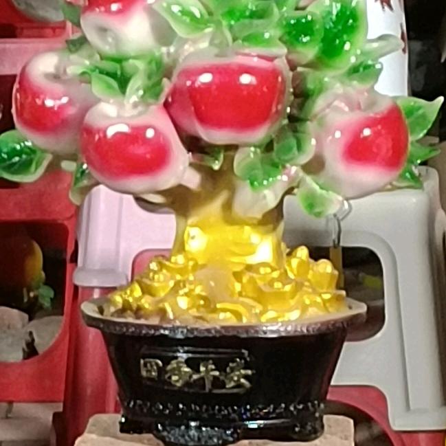 遗失的团圆