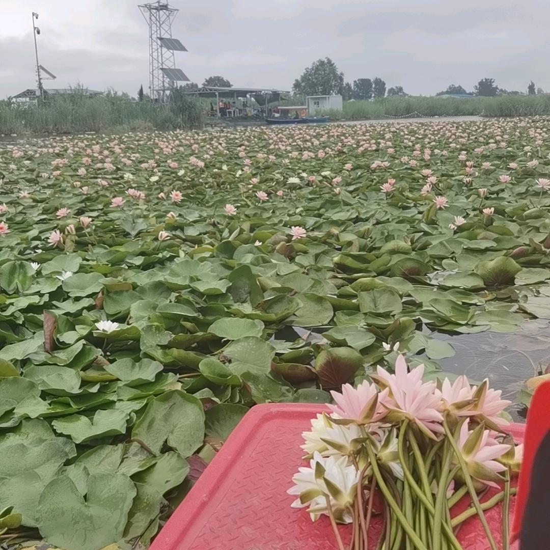 广阳郡太和六年832