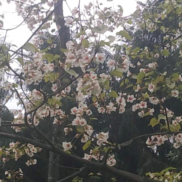 余生善待自己（拒绝私聊）