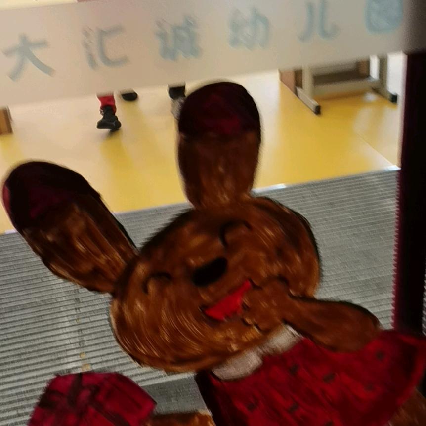 海龟