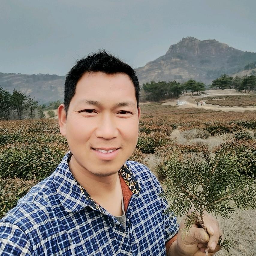 杨洋得意🎋果蔬