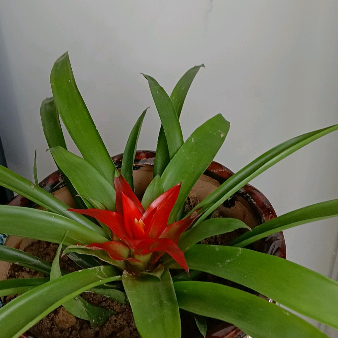 70后，2017.9.11，光荣之家，