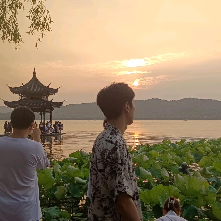 一片叶