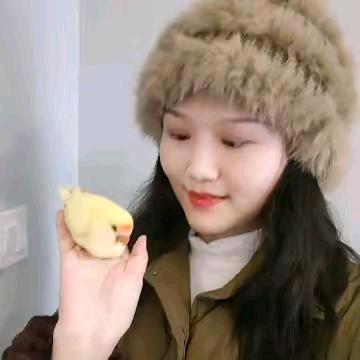在树上