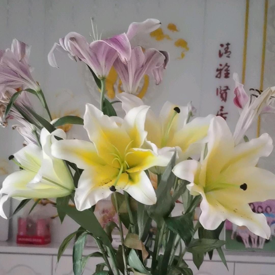 白色
