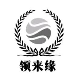 上海领来缘信息服务有限公司1