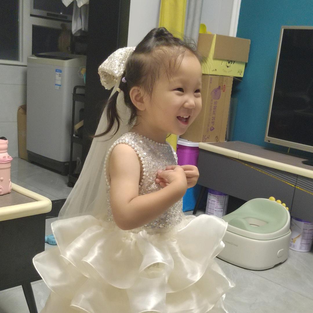 金辉小飞象  侯贤凤