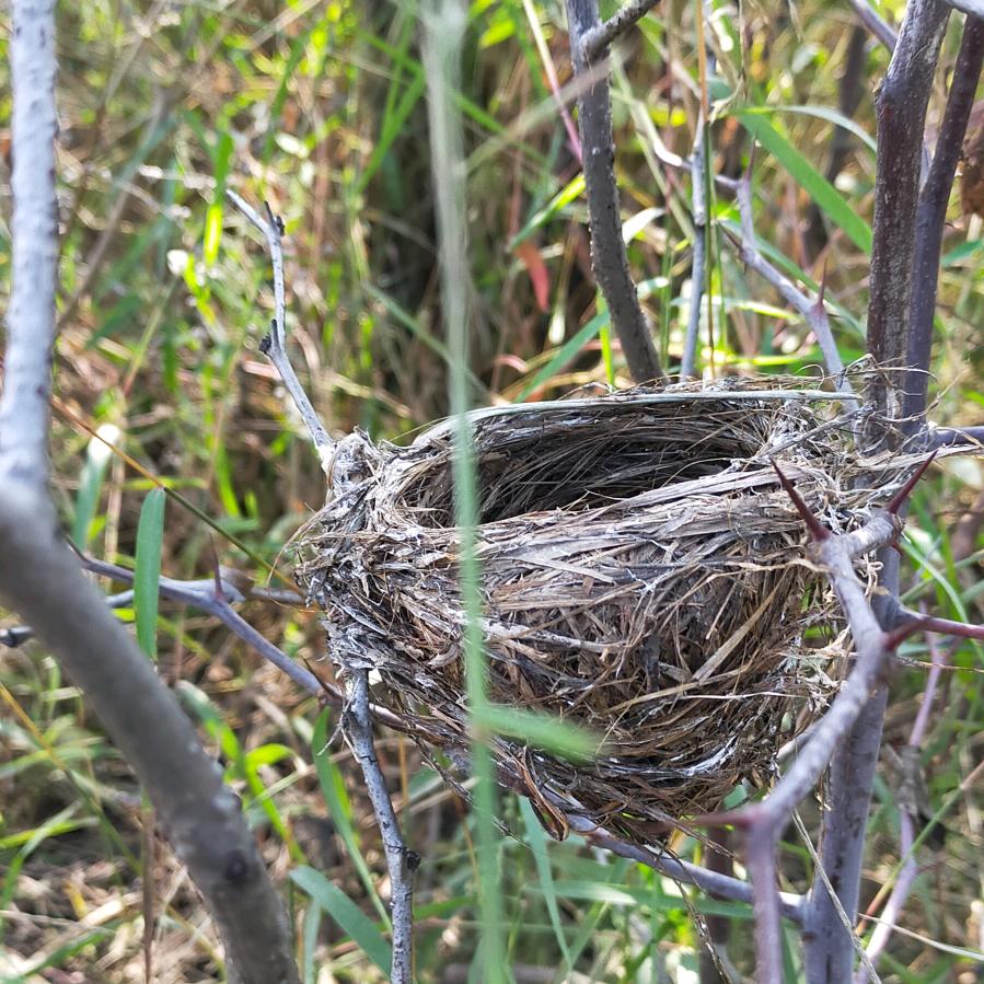 缘来石馆_唐河彩玉