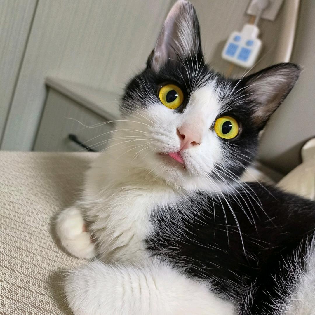 冯先生