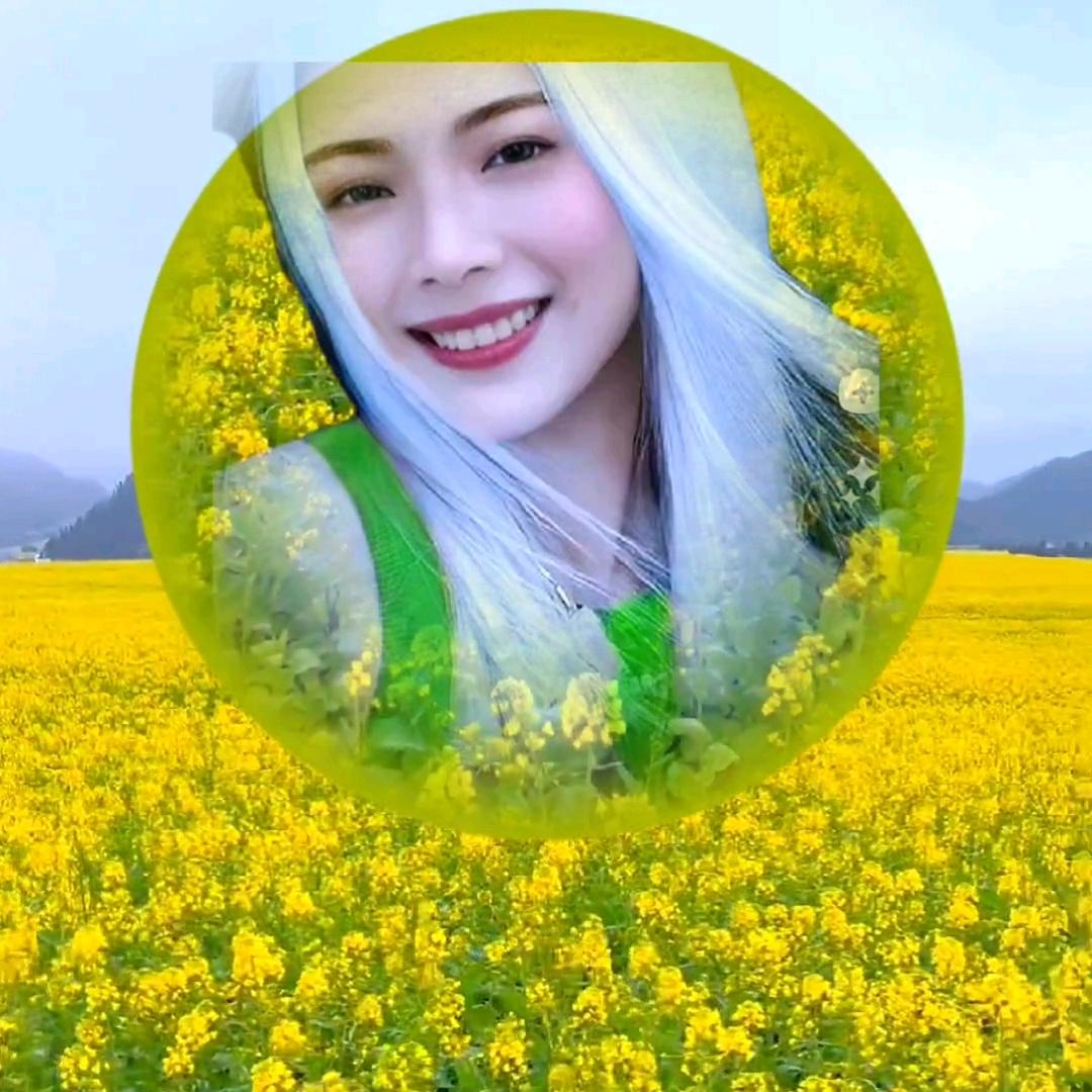龙姐姐