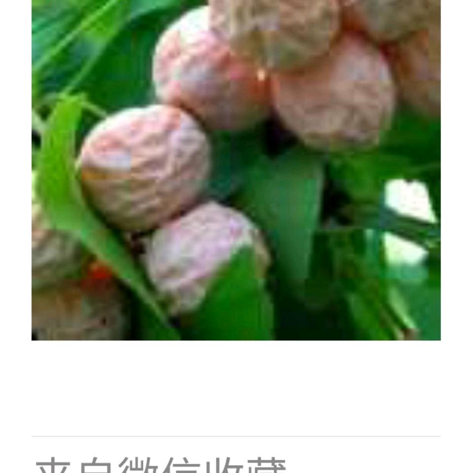遇见你很高兴！(朱礼田)