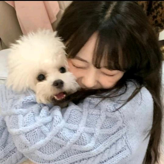 琦思妙想
