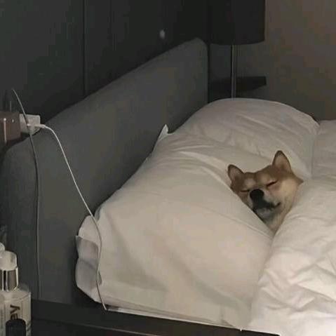 失绵了