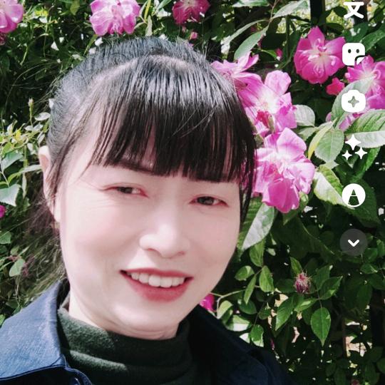 树姐
