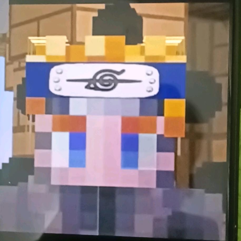 我的世界小救星