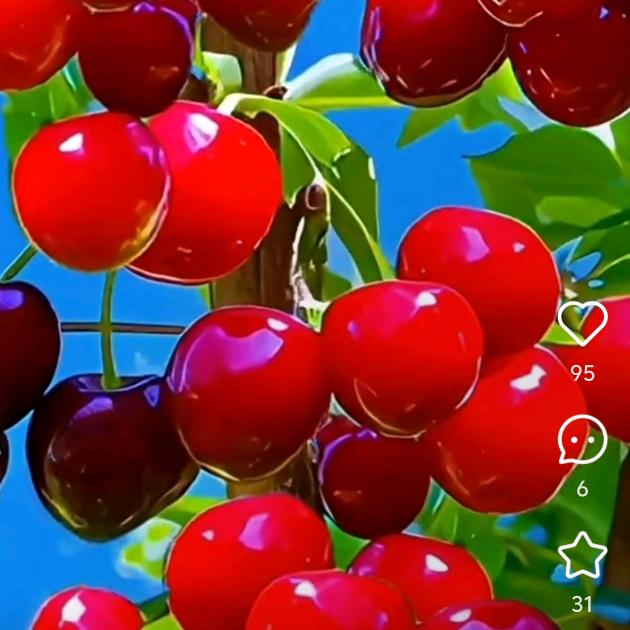 花姐~首播22点18分