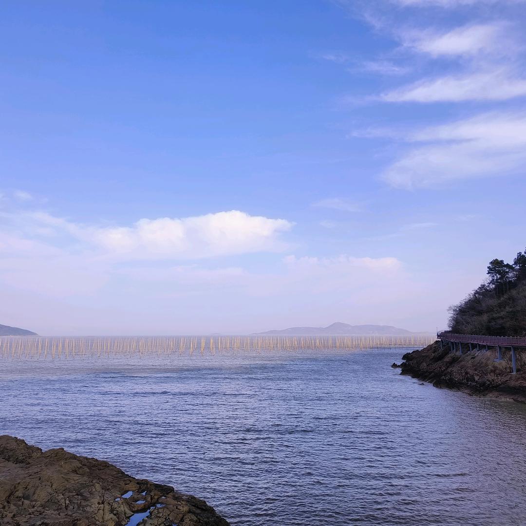 哪吒农副产品搬运工