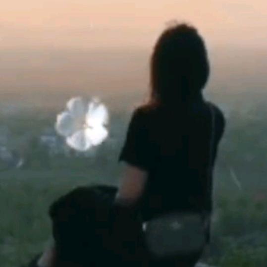 渴望。💗💗，🐶🐶