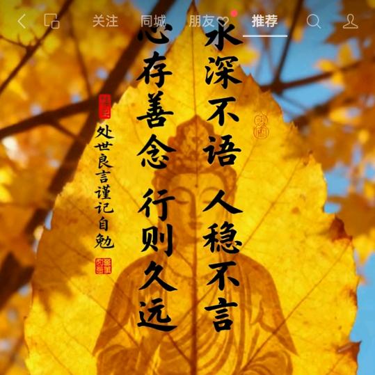 🍀🍀刘豆城源🌻🌻