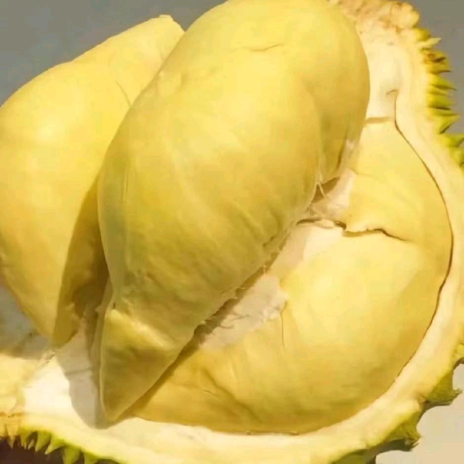 豪情年年好运