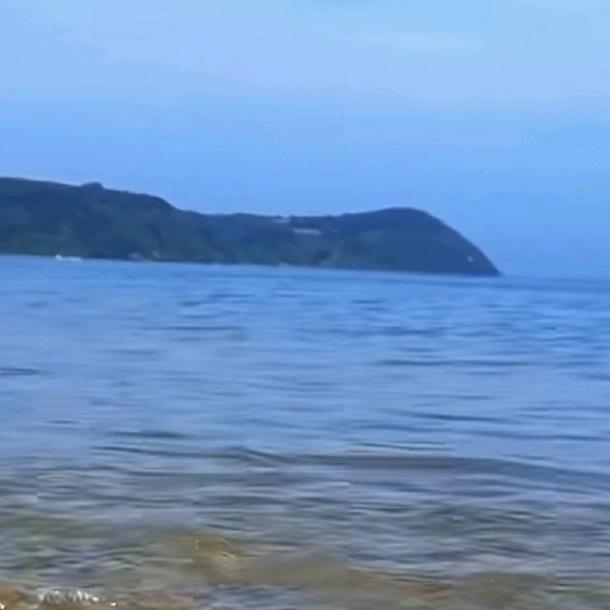 人生若只如初见