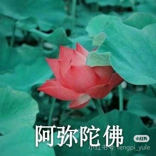 忘记K药
