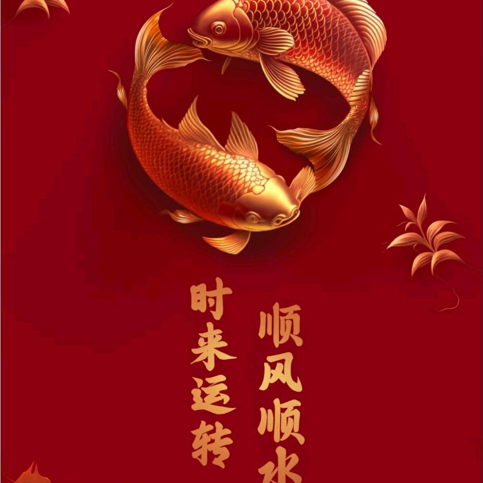 沉默🏆