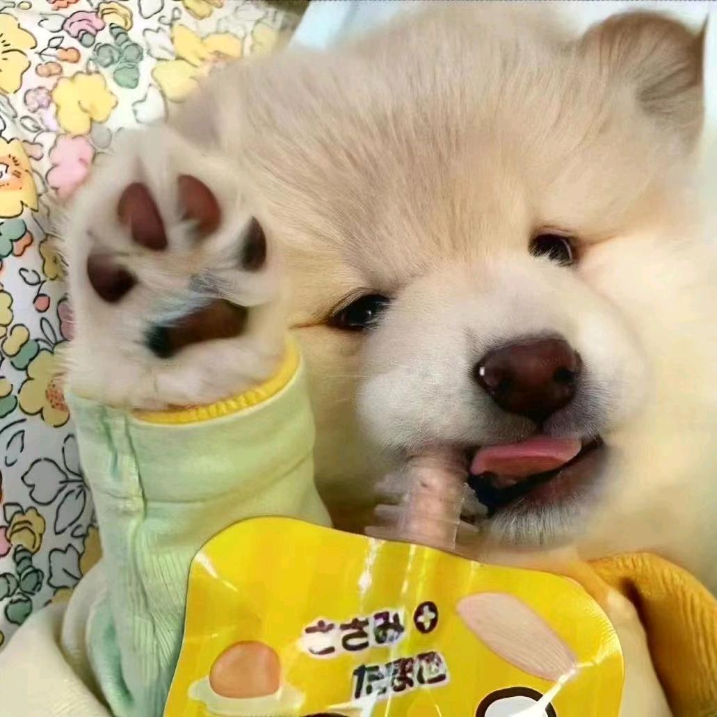 小周终向晚