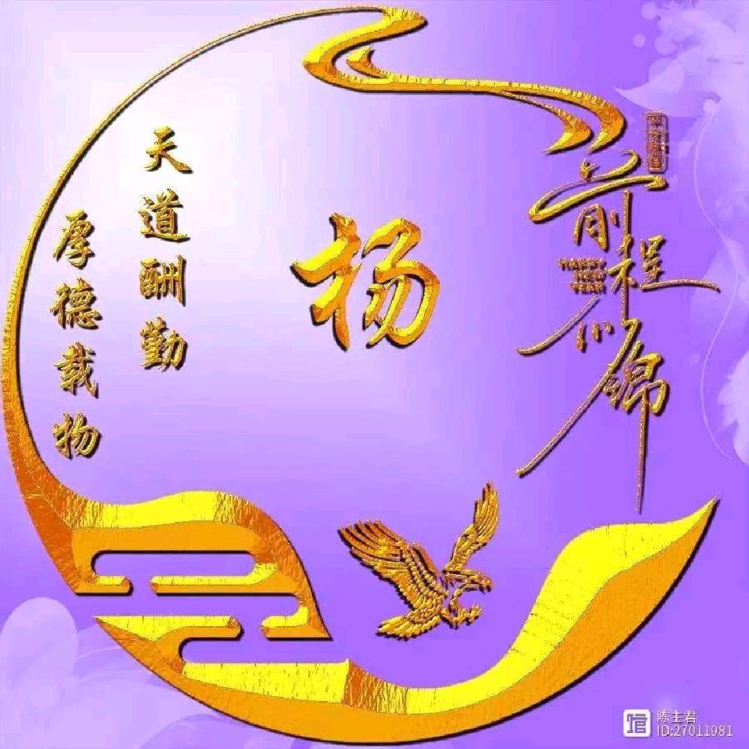 军事-纪实