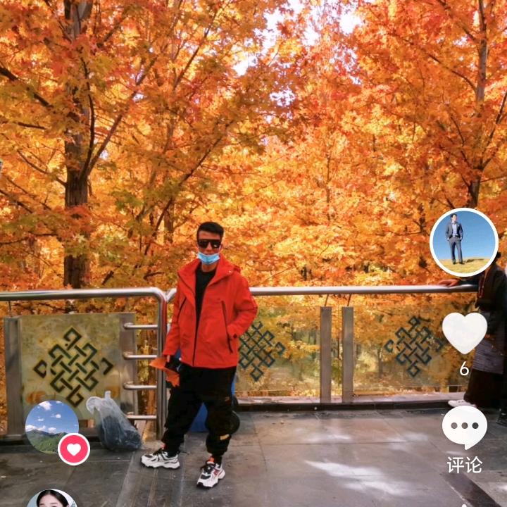 潇洒。走一回