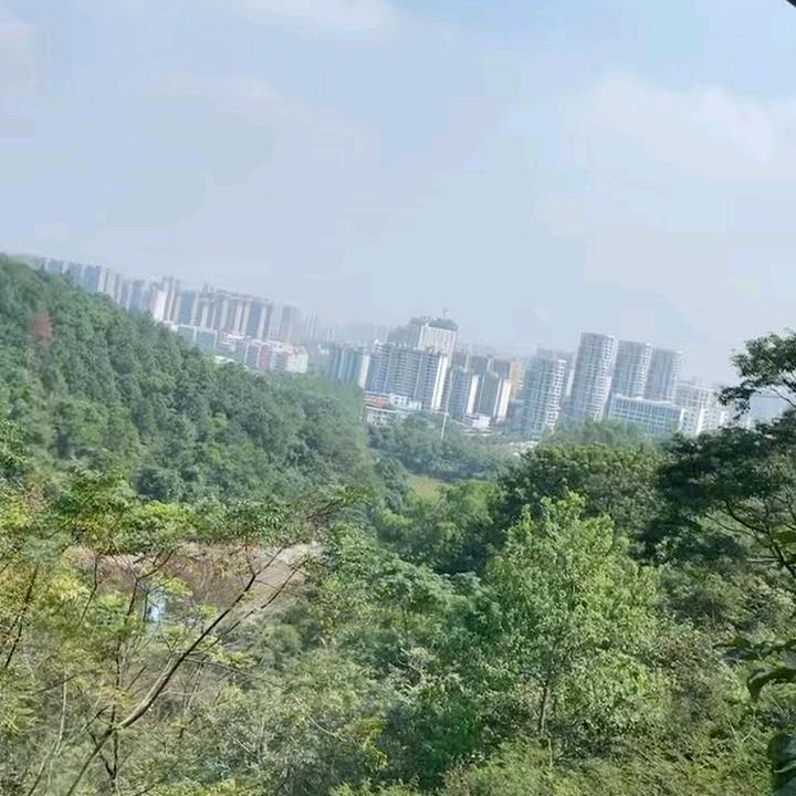 随缘