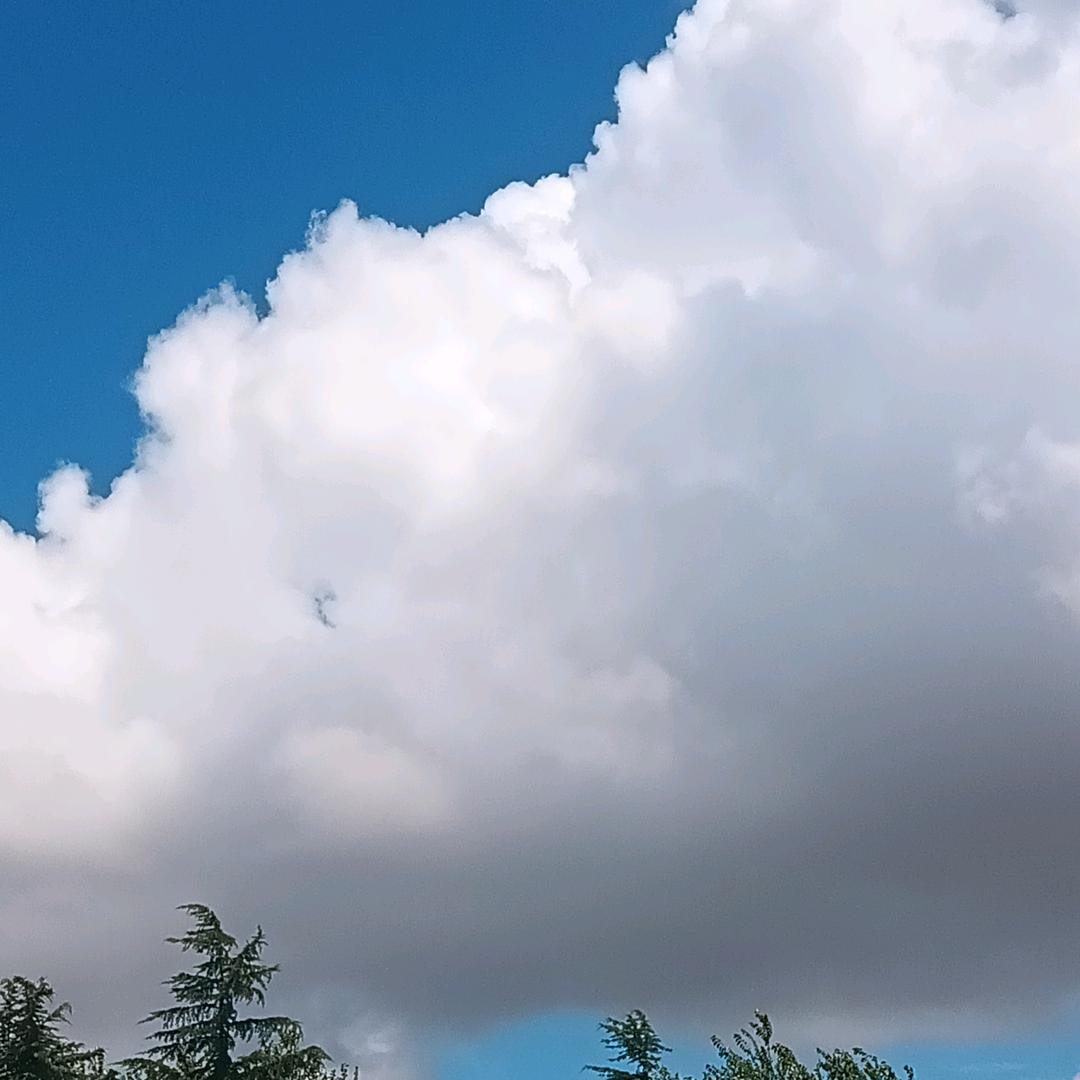 清(≧▽≦)风