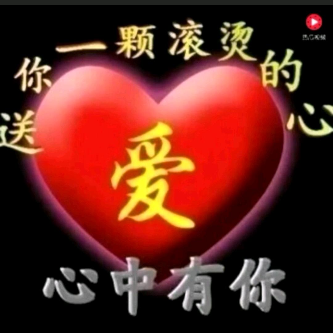 相依相偎o(≧v≦)o
