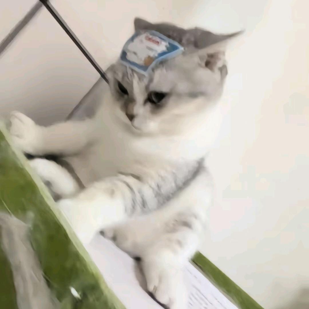 没大没小