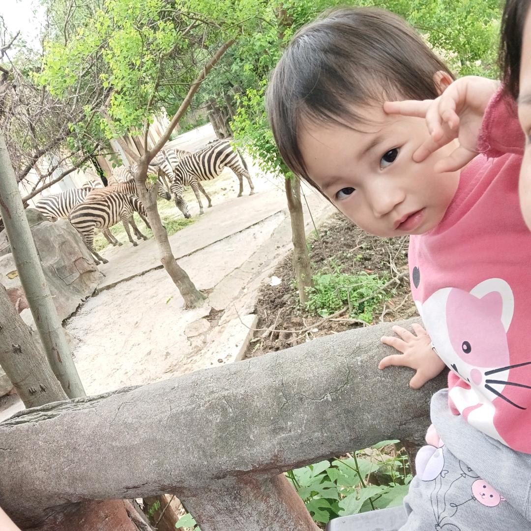 🌈Jin Yan🌈