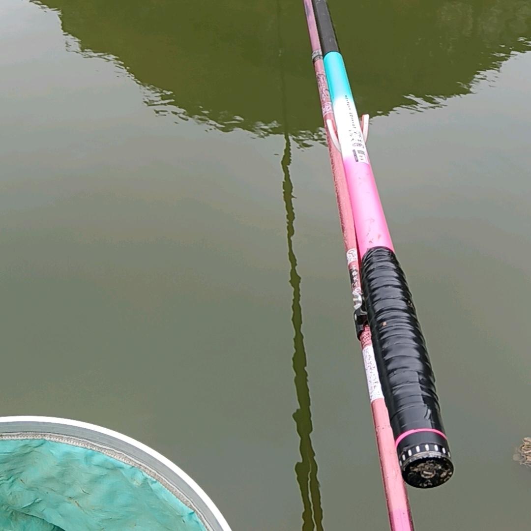 广西柳州蔡府（蔡十一）爱生活爱钓鱼🎣