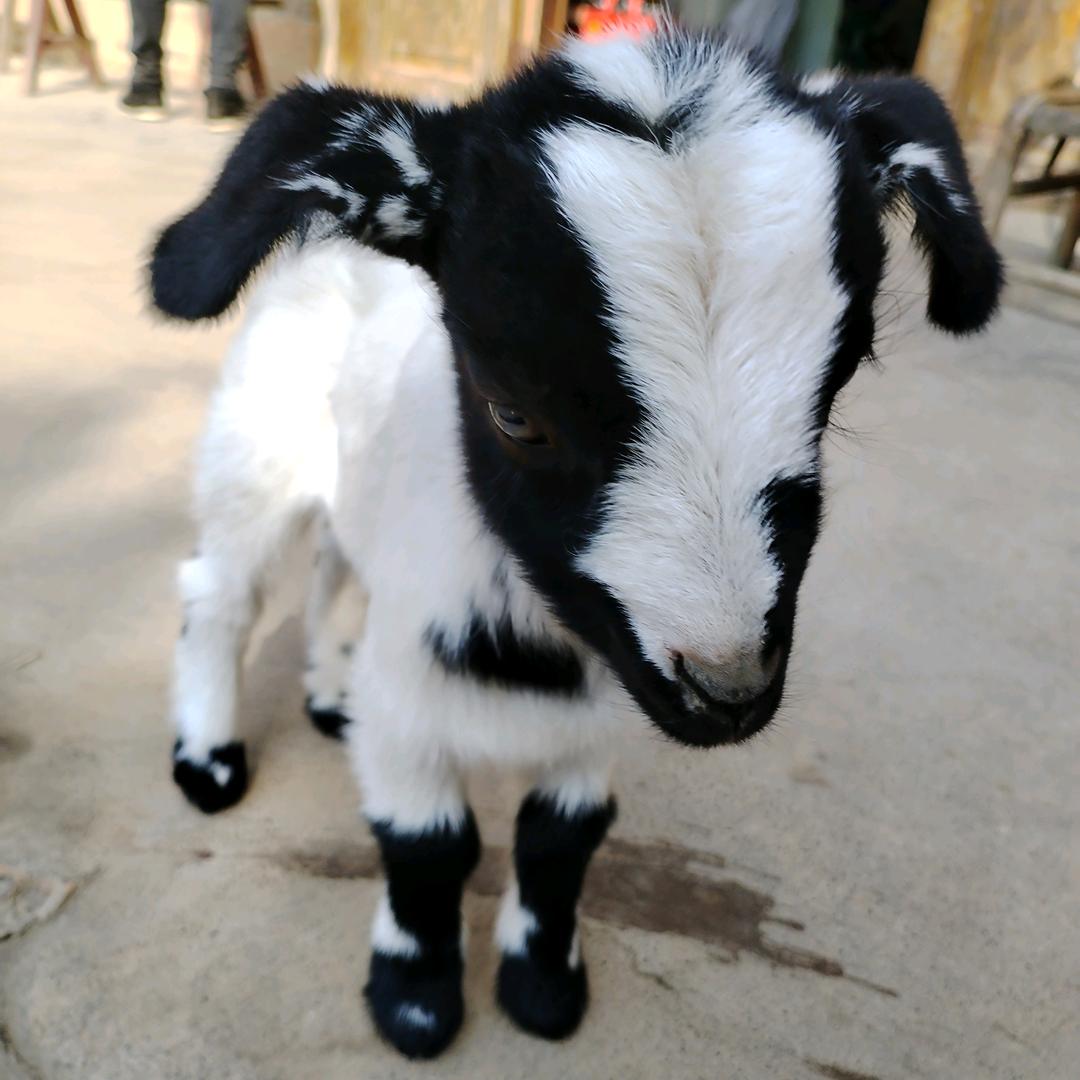 行到水穷处。坐看云起时。