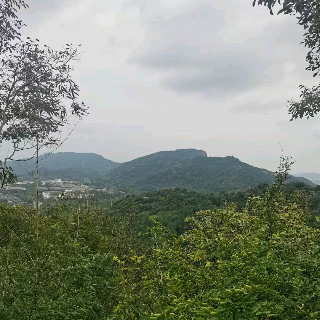 刚吃饭百事可乐