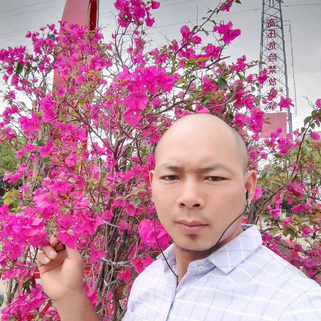 我命由我不由天